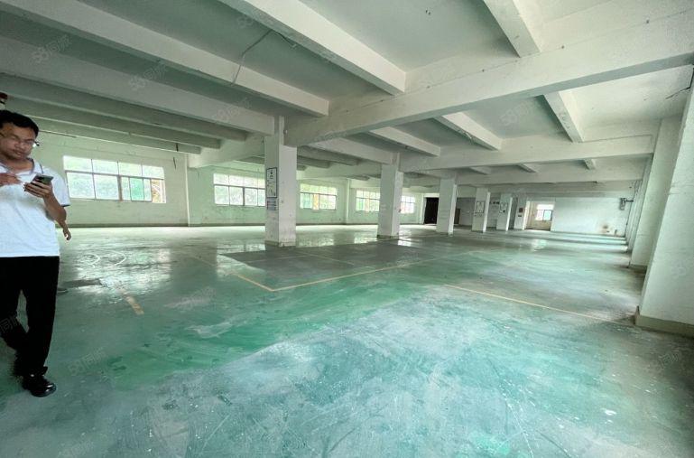 坂田实际面积厂房出租1300平原房东带红本