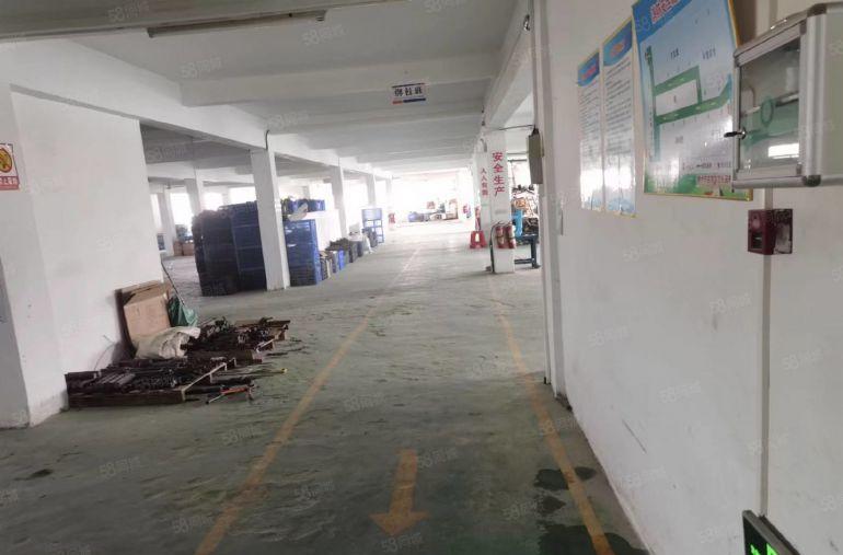 龙岗低价红本厂房出租可分租业主直租精选仓库低价仓库