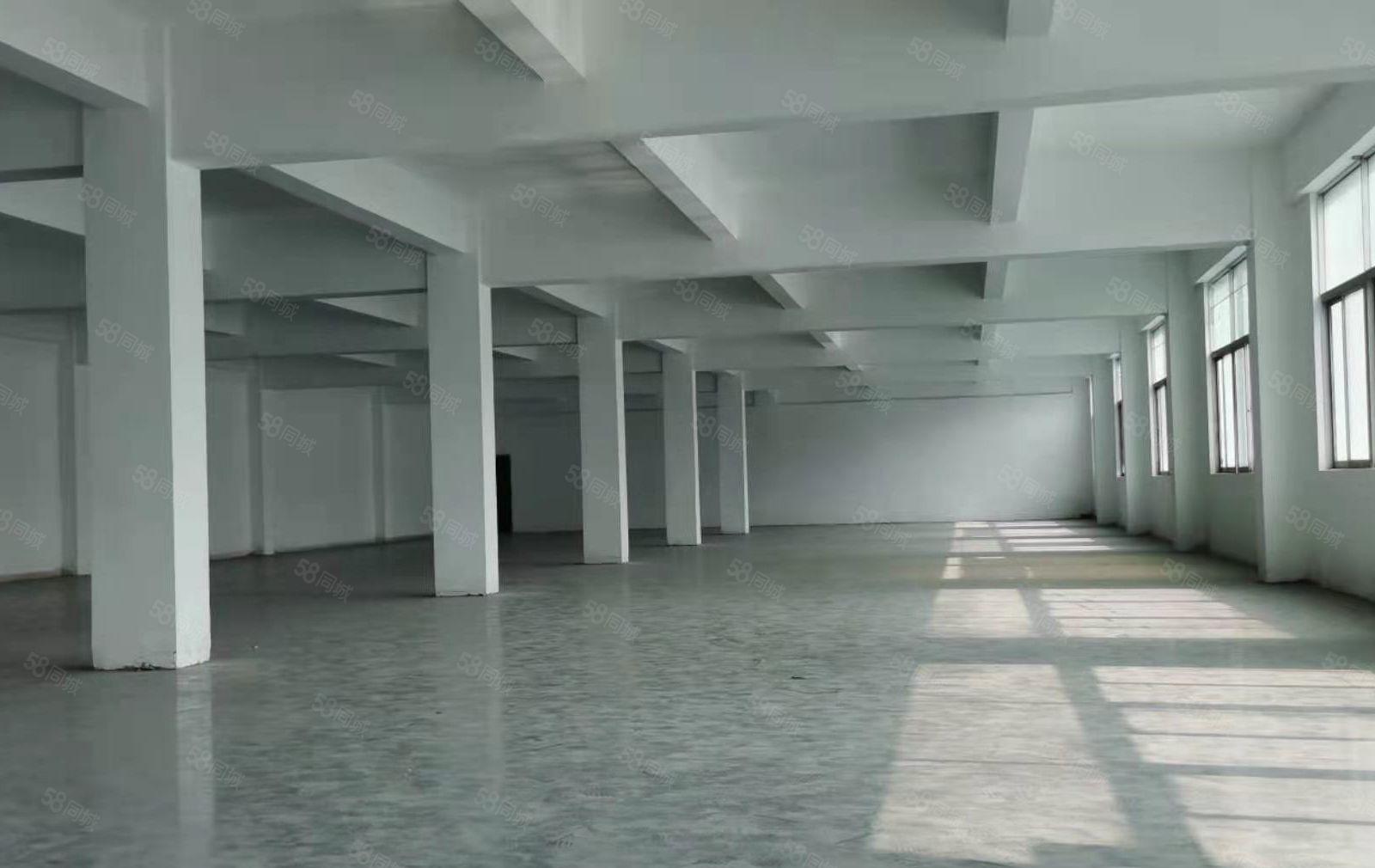 龙岗平湖新出950平精装修厂房，可分租，价格实惠带红本。