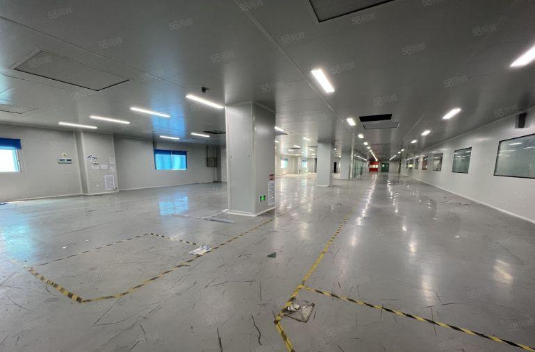 永湖地铁口10万级无尘车间3000平厂房出租1000平起分租