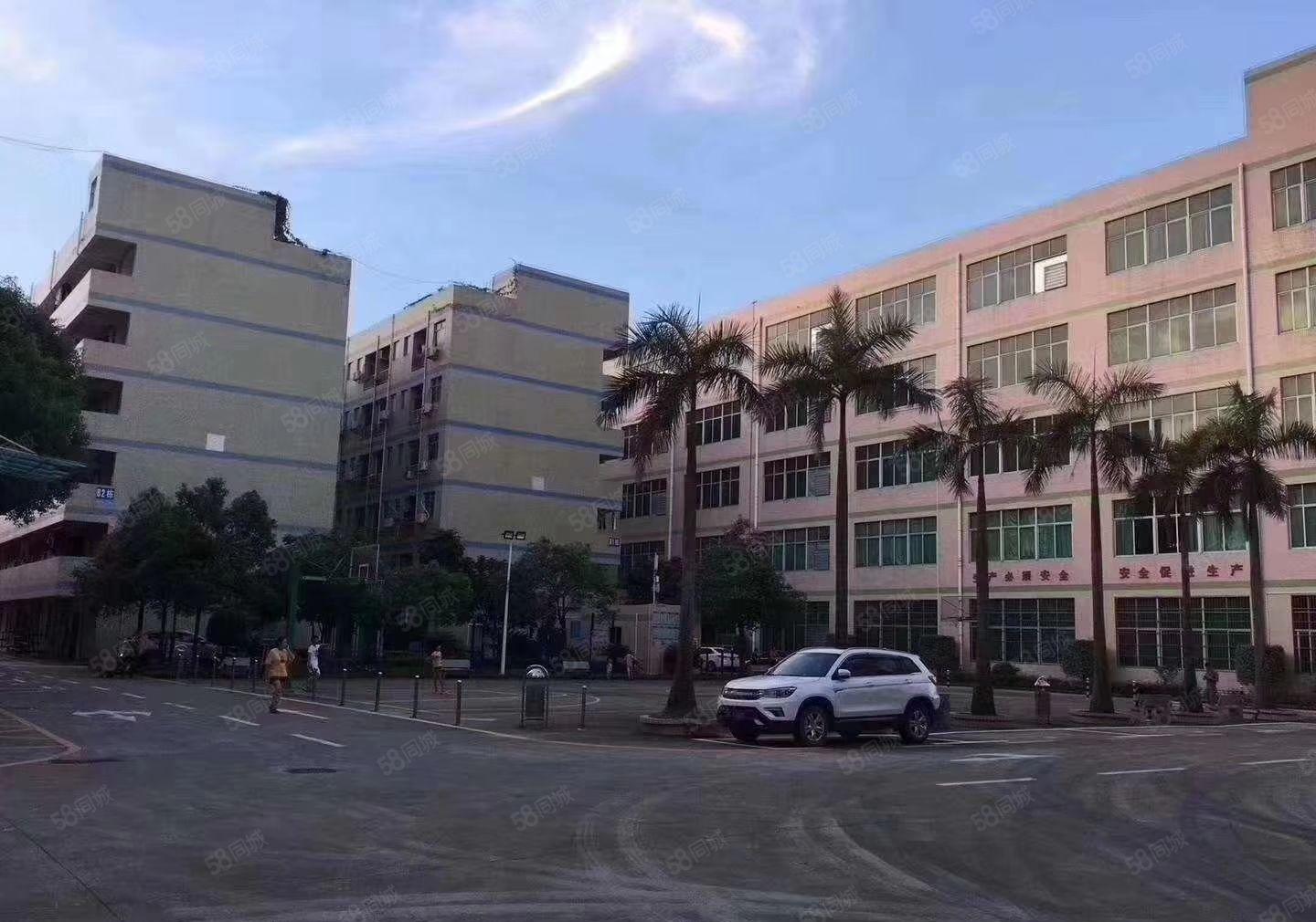 平湖禾花地铁口二三楼2000平方带办公室装修厂房出租