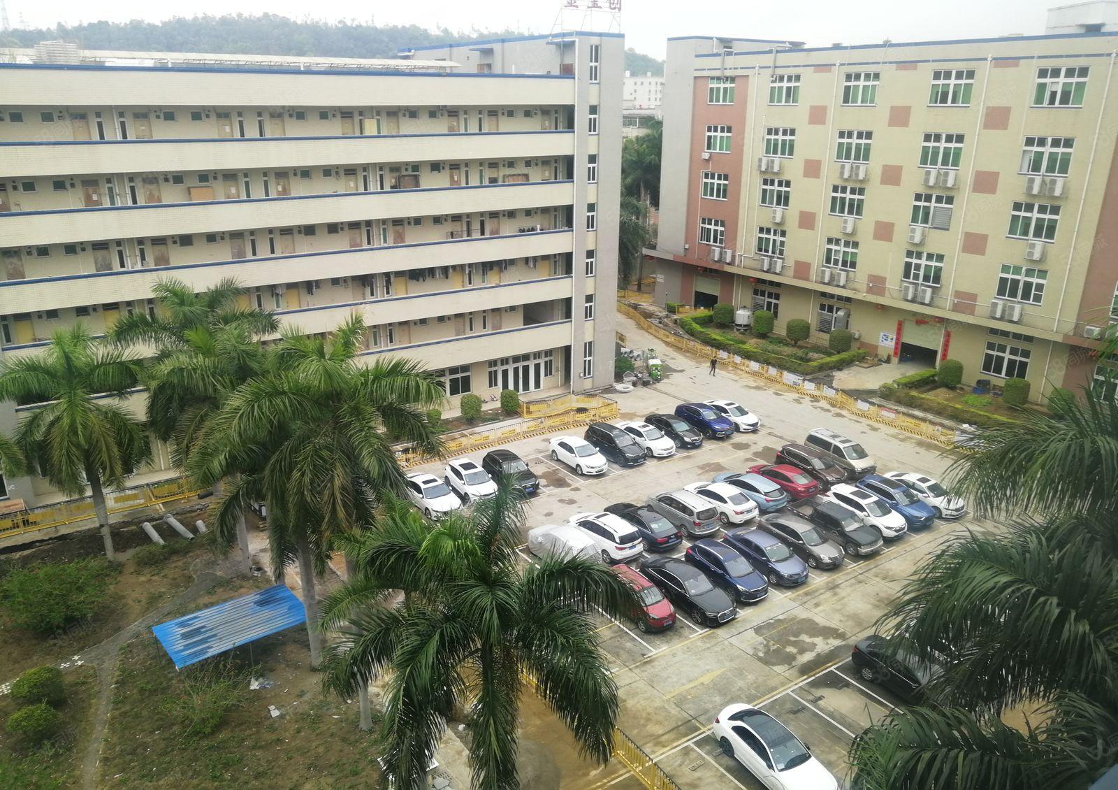 龙岗中心城二楼厂房出租1000平米大小可分租