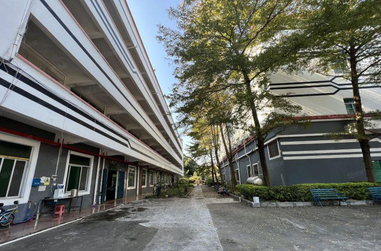 龙岗宝龙花园式红本独门独院厂房16000平出租可环评空地超大