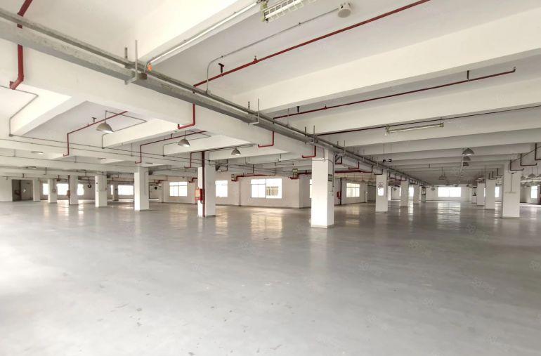 龙岗办公贸易电商厂房仓库加工及研发2000平出租