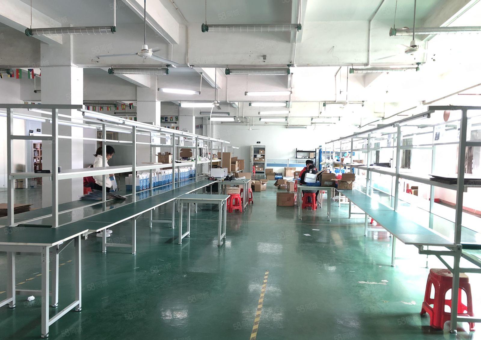 坪地中心村原房东独院厂房13000平方带精装修厂房出租可分租