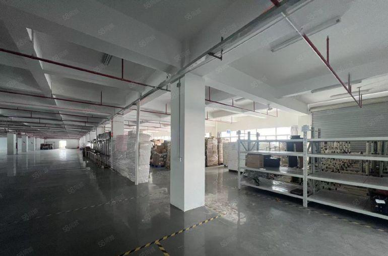 龙岗新生独院5000平原房东电商办公仓库厂房出租大小分租