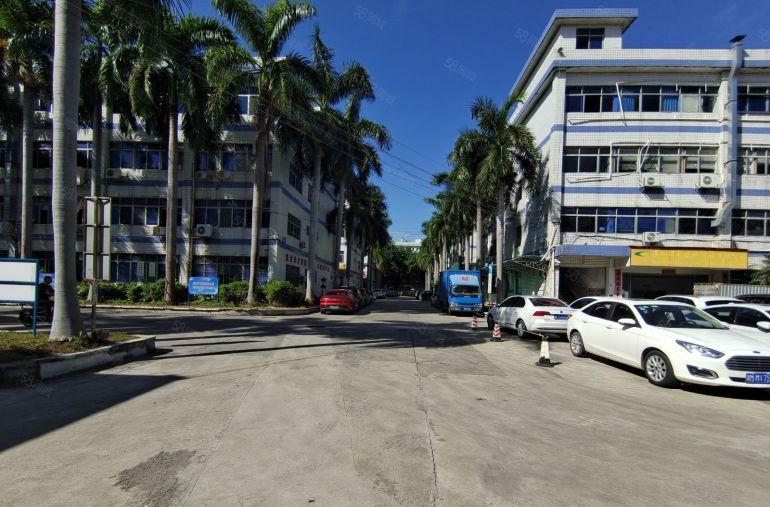 龙岗爱联原房东科技园500平方精装修办公室厂房仓库出租