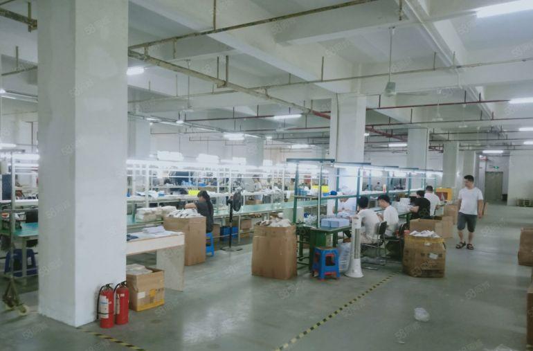 龙岗坪西原房东精装一楼1200平仓库厂房出租，600平起分租