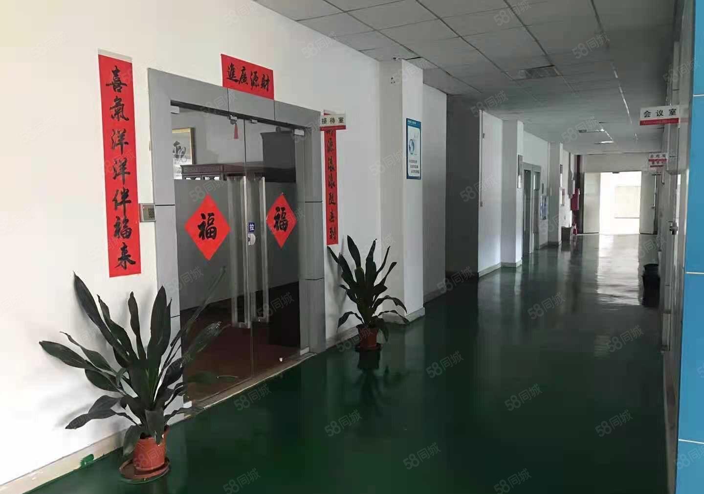 700平方龙岗坪地低价原房东精装修标准厂房出租！