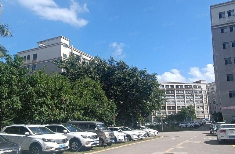 出租龙岗宝龙原房东厂房1000平可办环评带装修可分租