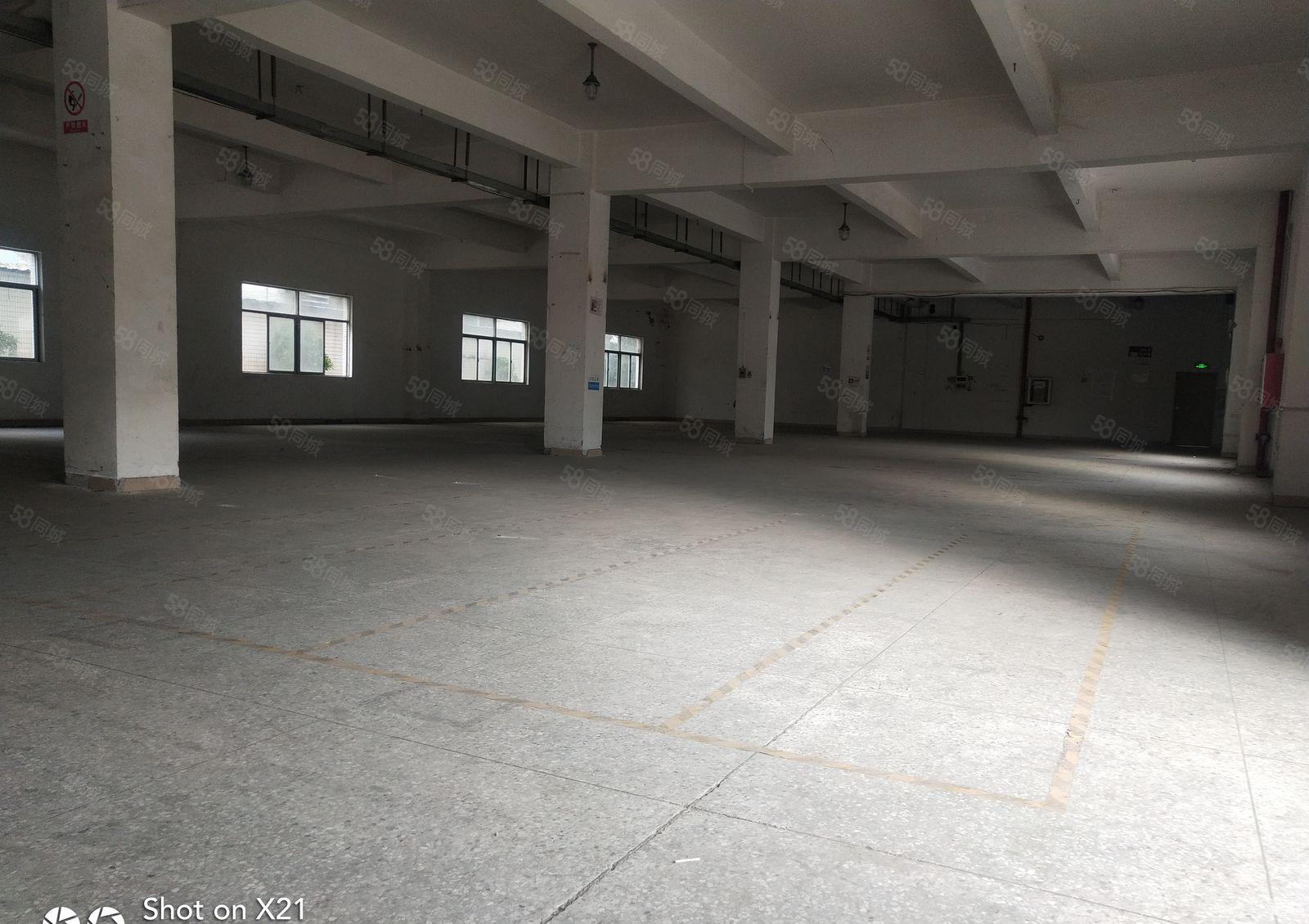 华南城附近标准独院厂房3300平米招租，可分租1100平米