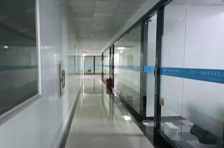 龙岗坪地坪东3楼带百级无尘车间1800平办公室现成可分租