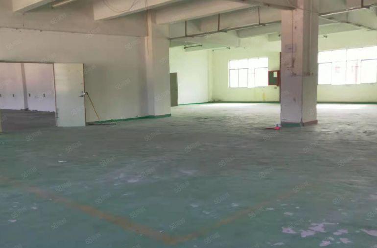 横岗新出298平厂房，层高5米，能进大货柜