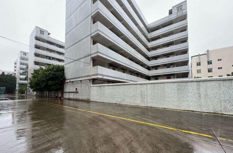 超长免租期，横岗六约珠宝基地4685平，大小分租，不限行业