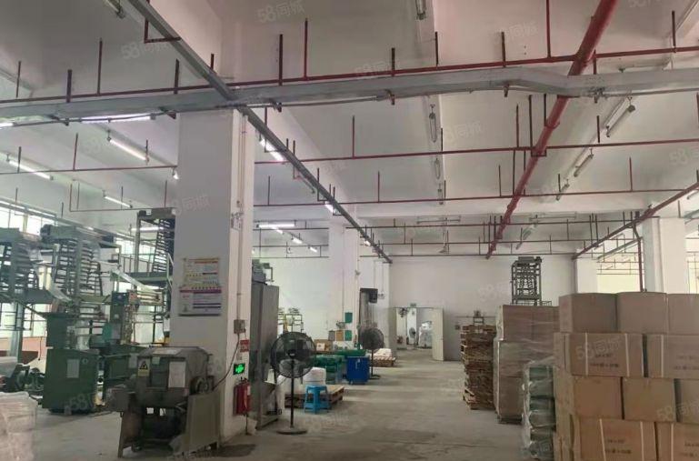 横岗地铁口原房东300平2000平精装修厂房仓库出租