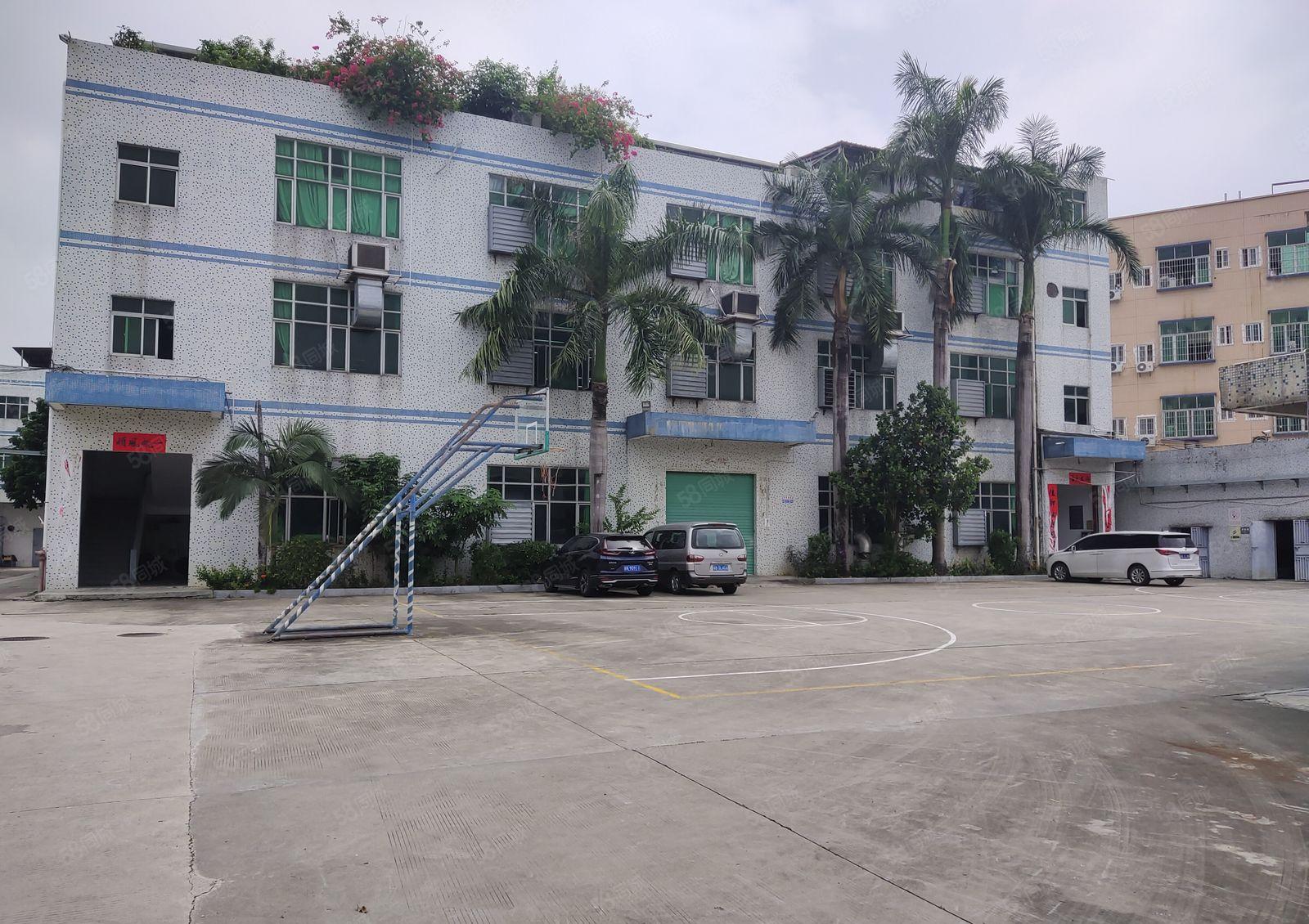 平湖富民工业园区独院2百5百8百1千平一楼仓库厂房出租可分租