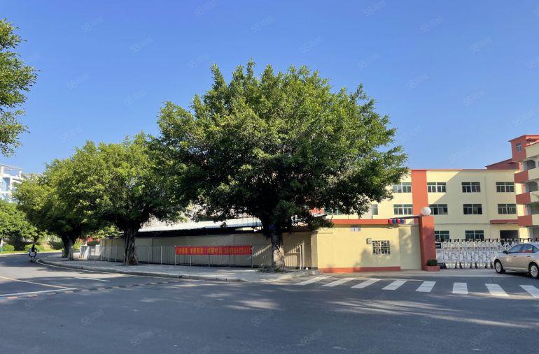 空地大合同十年龙岗中心城原房东独院6000平方室厂房仓库出租