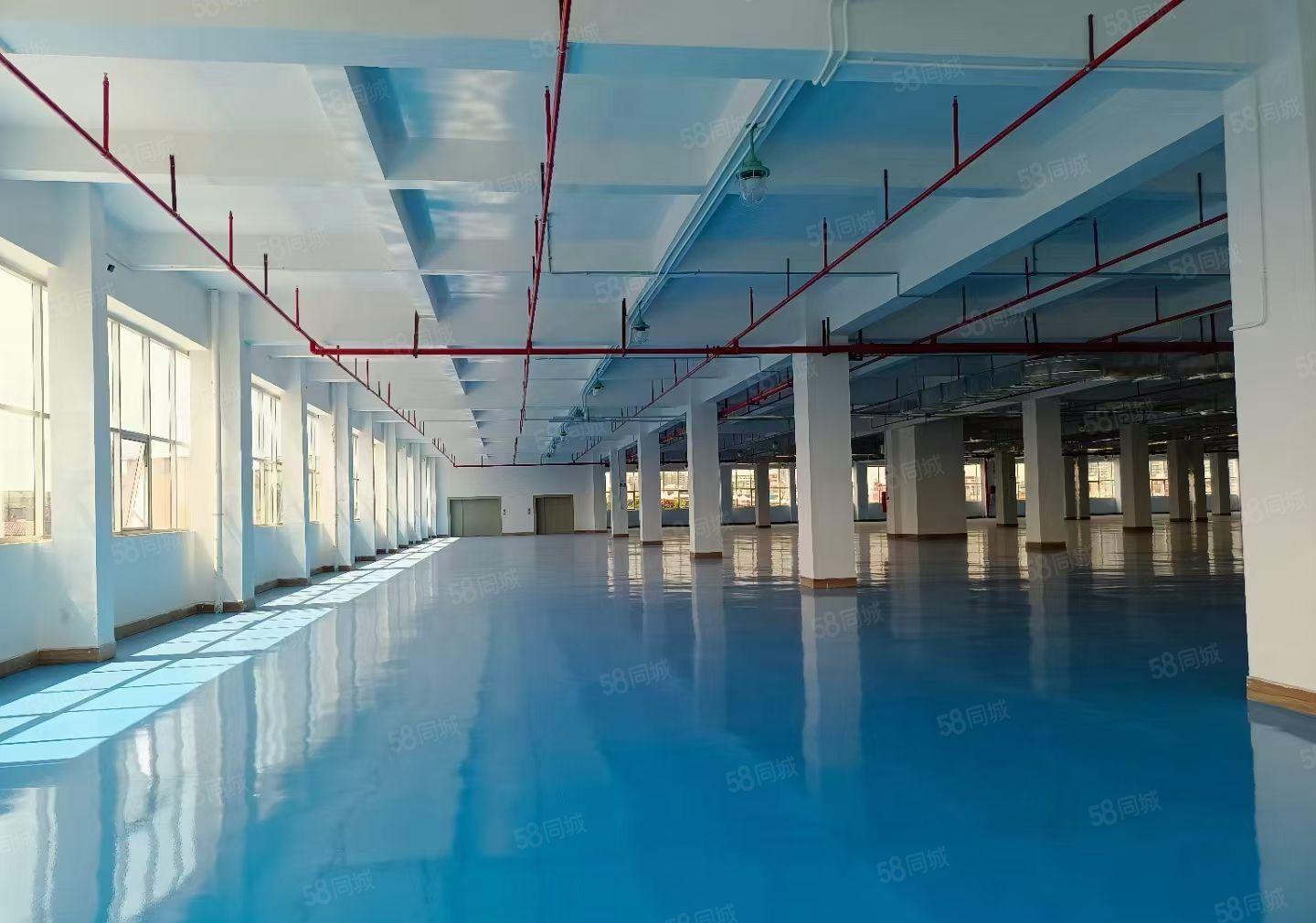 横岗工业园新出楼上2000平精装厂房仓库出租带消防喷淋地坪漆