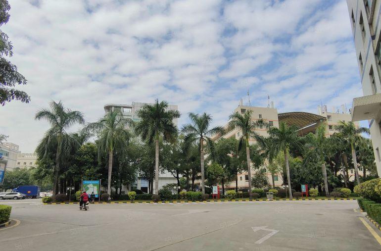 龙岗中心城原房东工业园精装修厂房1500平方出租