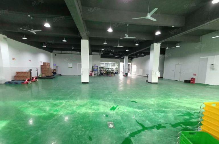 爱联地铁站附近电商园一楼300平方精装修办公室厂房仓库可分租