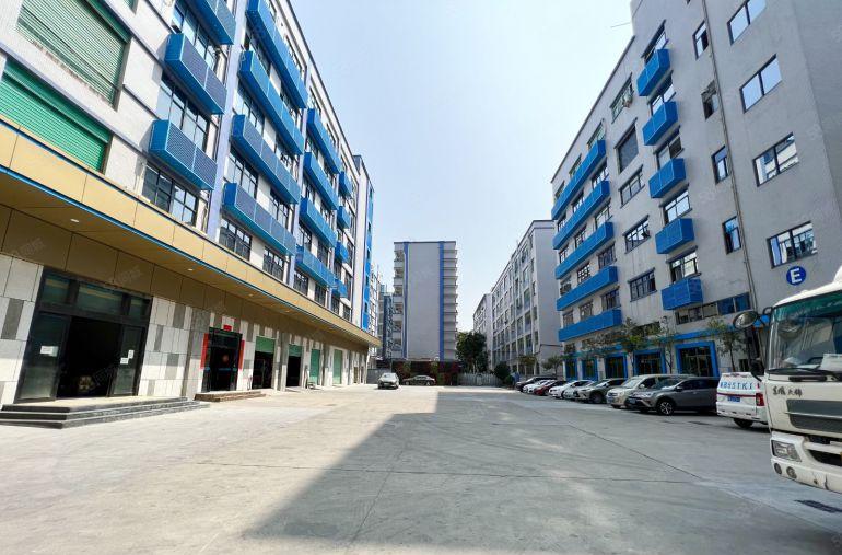 坂田上雪科技园一楼实际面积800平厂房仓库出租带地坪漆