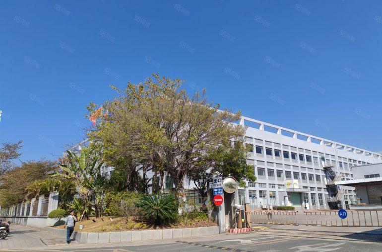 龙岗坪地原房东工业园一楼500平起租厂房仓库出租