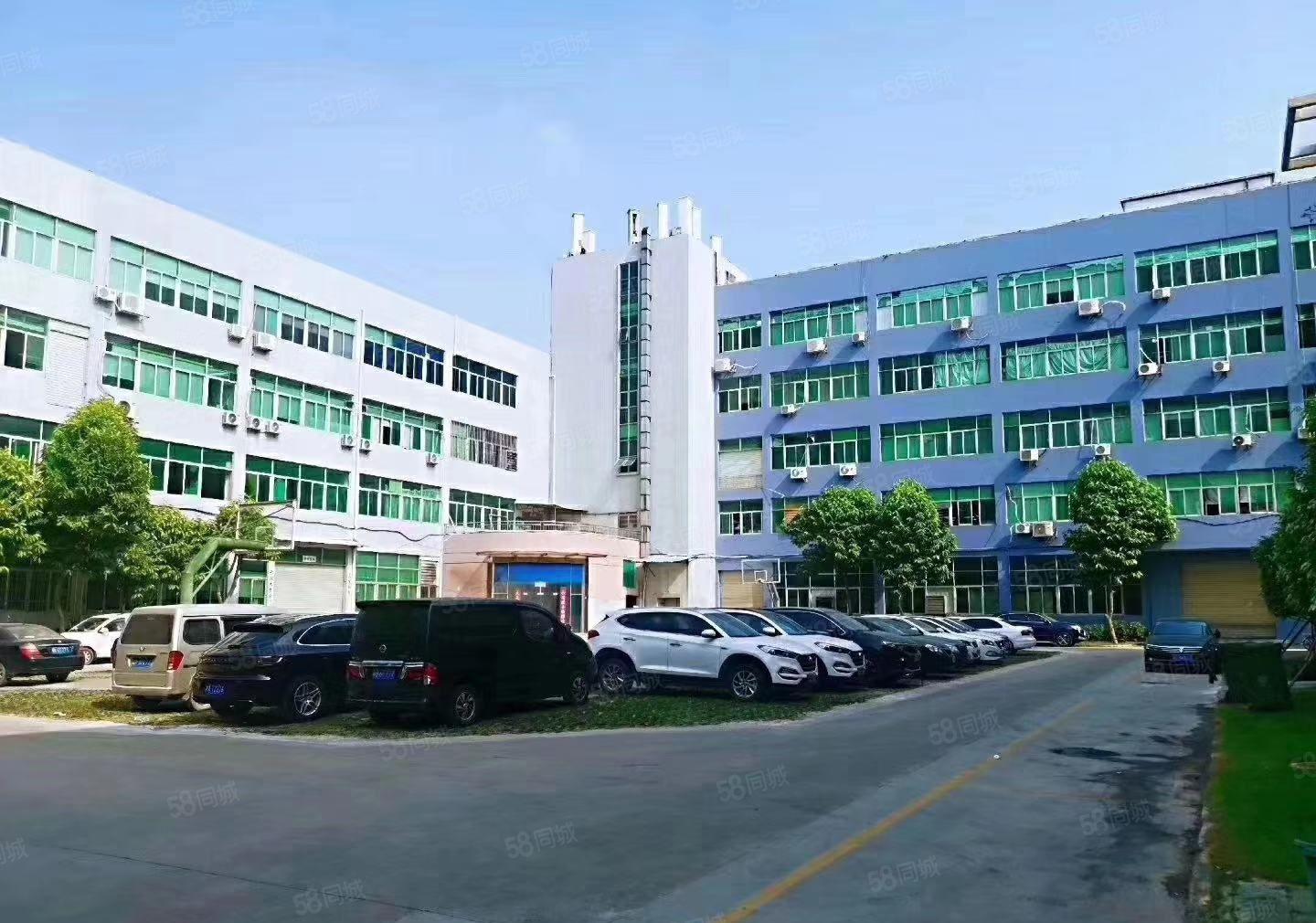 龙东原房东大型工业园新空出一楼1000平方带牛角厂房可分租