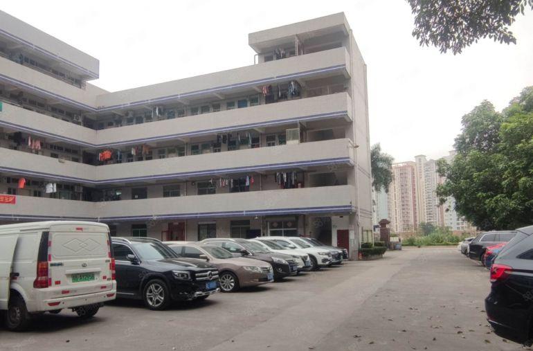 坪地坪西新出3000平一楼厂房出租