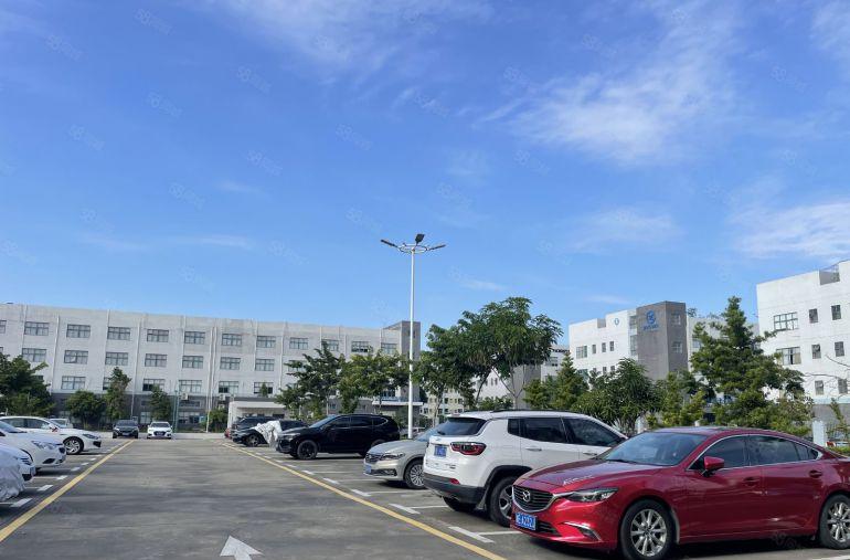 坂田李朗原房东科技园楼上800平方带精装修办公室厂房仓库出租