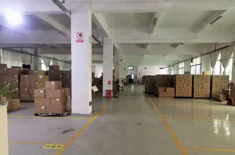 S龙岗独院2400平方，大小可以分租