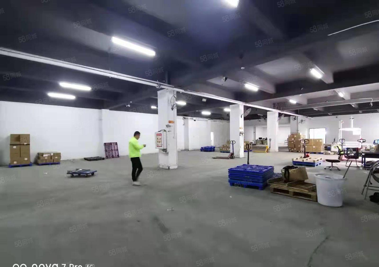 龙岗布吉坂田一楼1000平标准厂房出租