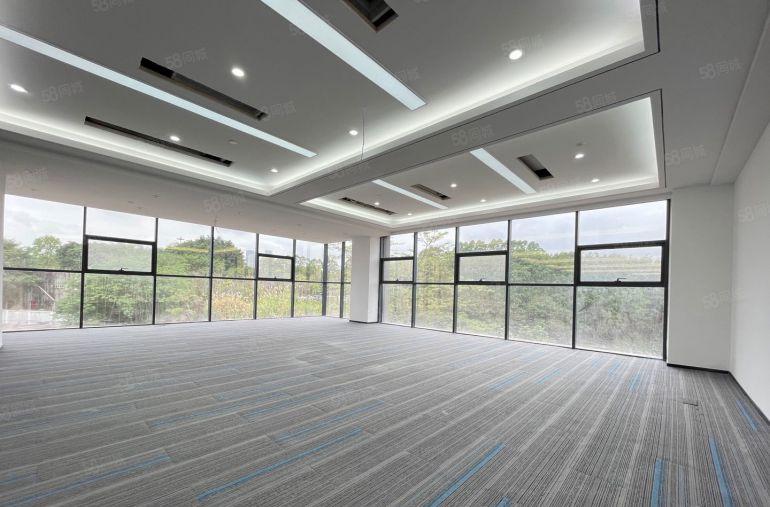 （出租）坂田1000平研发厂房 带现成装修 100平起租