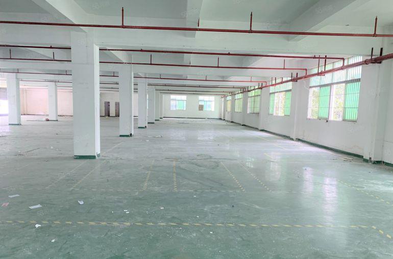 平湖禾花工业园独栋厂房9600平厂房仓库出租可分租水电齐全