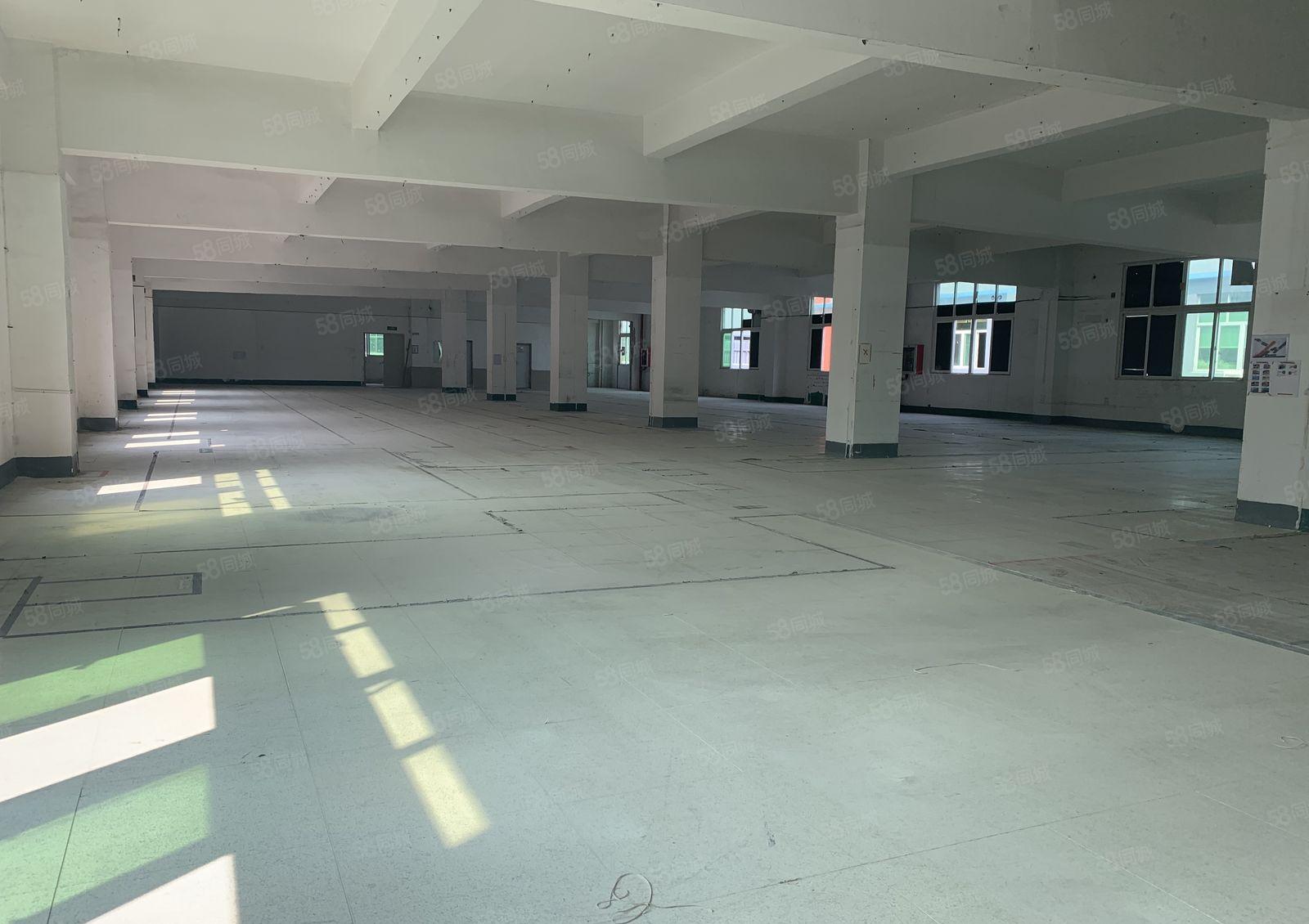 龙岗区龙东业主直租，独门独院7500平，价格可谈