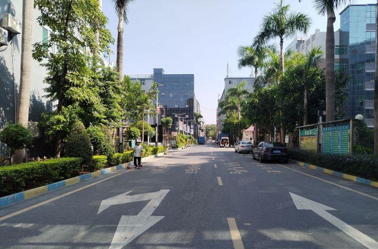 特价笋盘直租坂田地铁口电商园新出300平精装办公仓库厂房出租