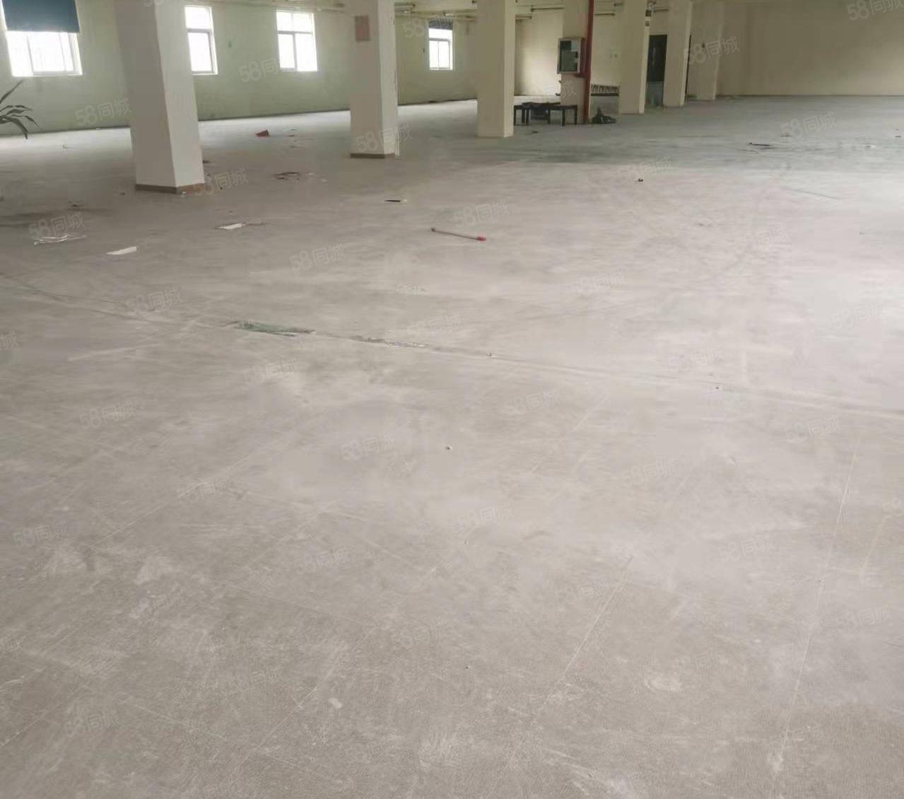 西坑独院厂房出租大小分租