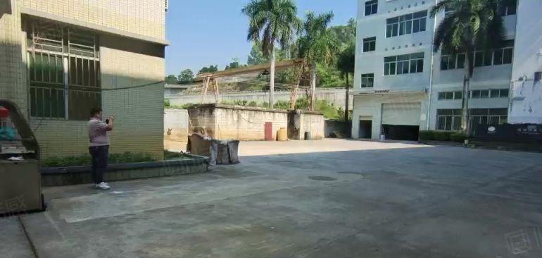 坪地高桥工业区新出原房东红本独院5000平方，合同可签10年