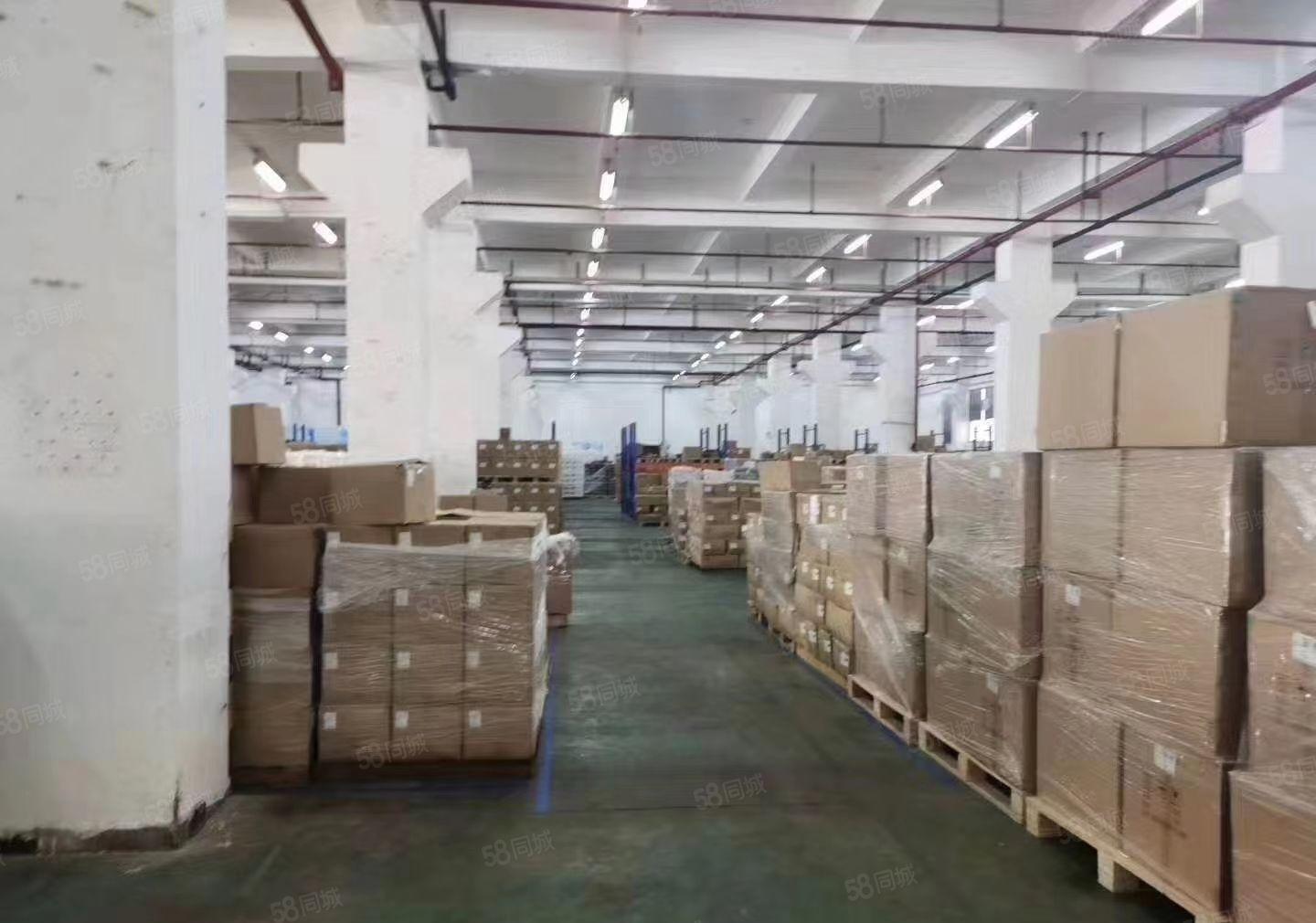 爱联南联 龙西五联 同乐 龙东宝龙300到30000平厂房分