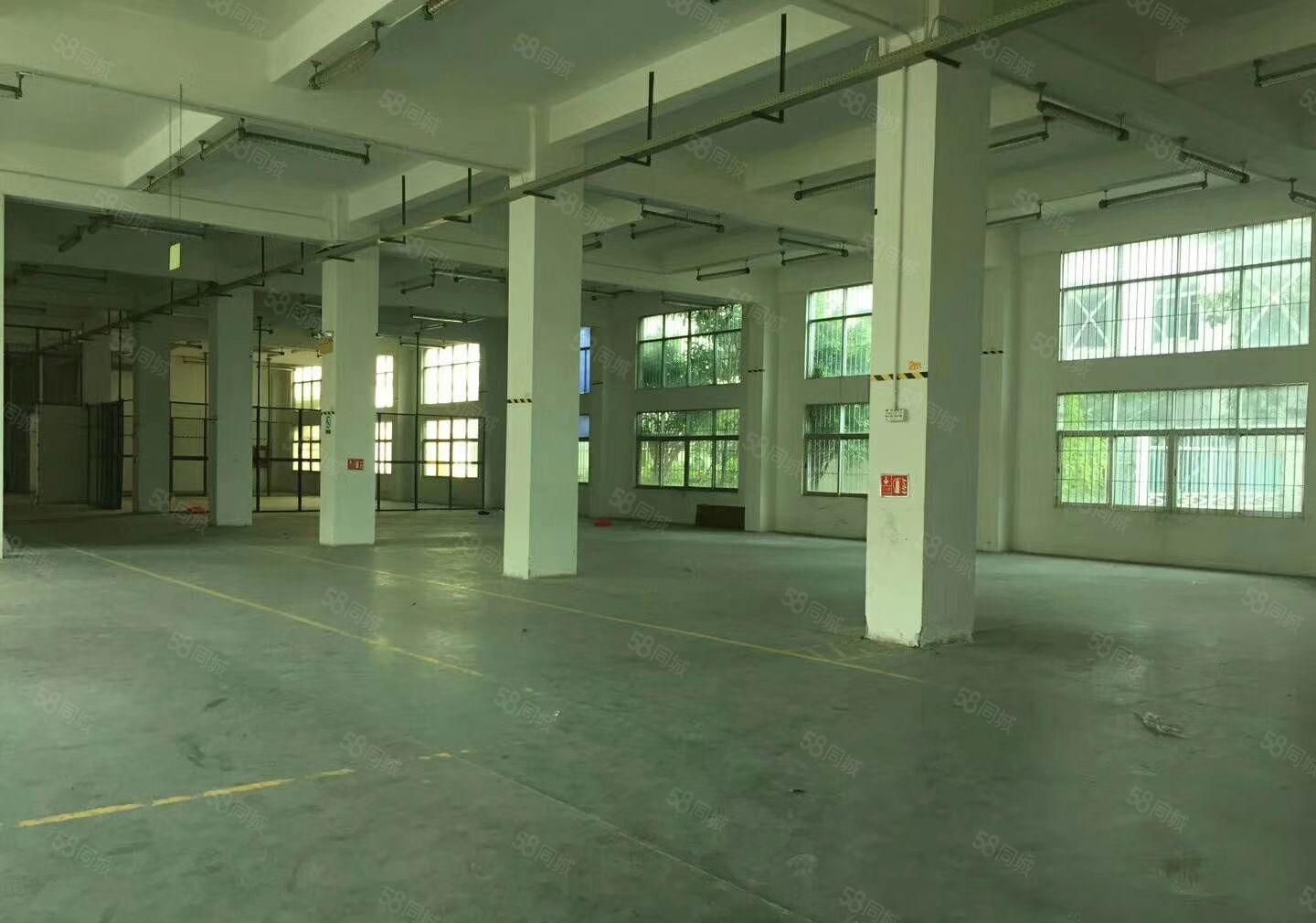 平湖原房东独院3000平方带装修厂房出租