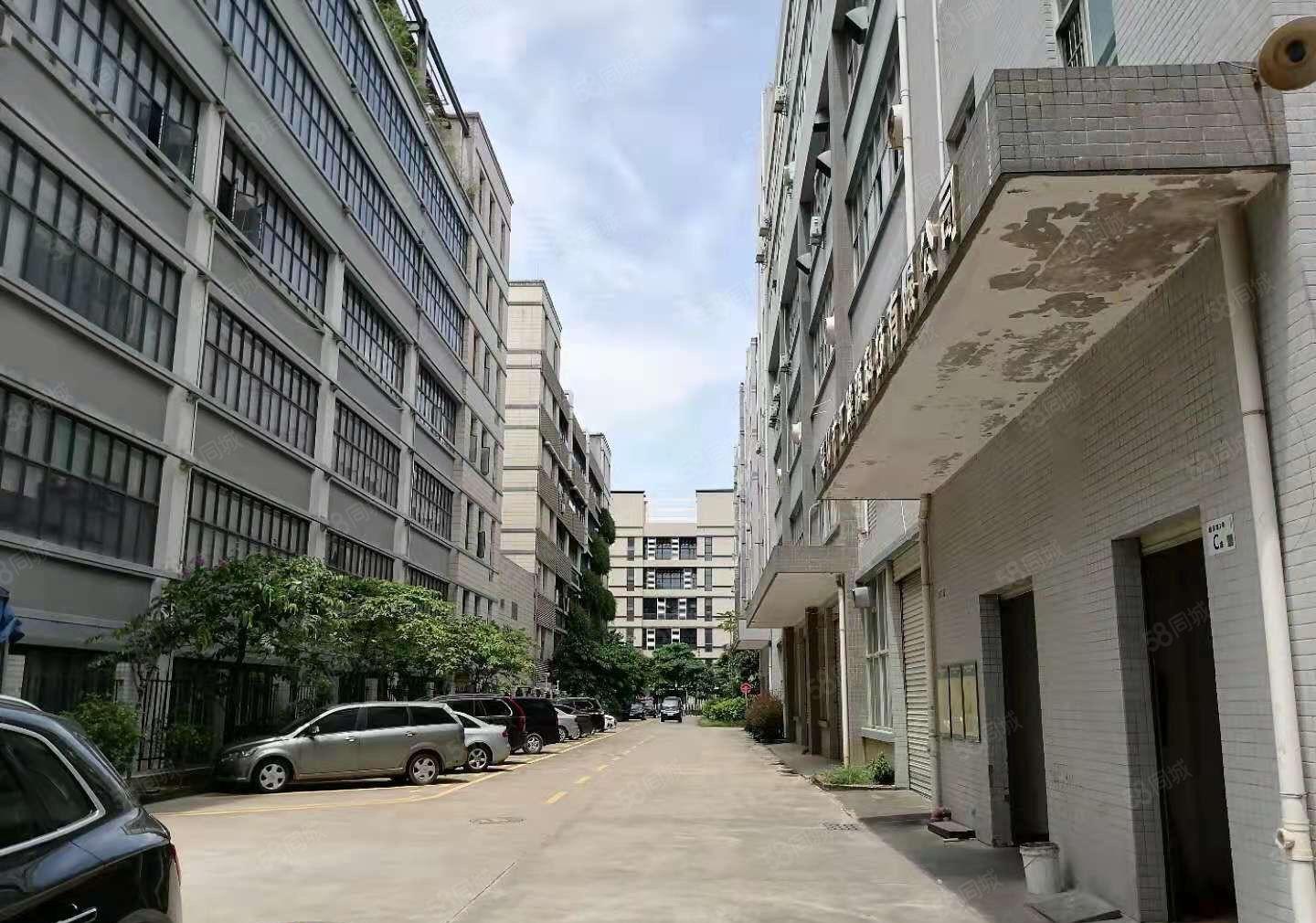 700平方龙岗坪地低价原房东精装修标准厂房出租！