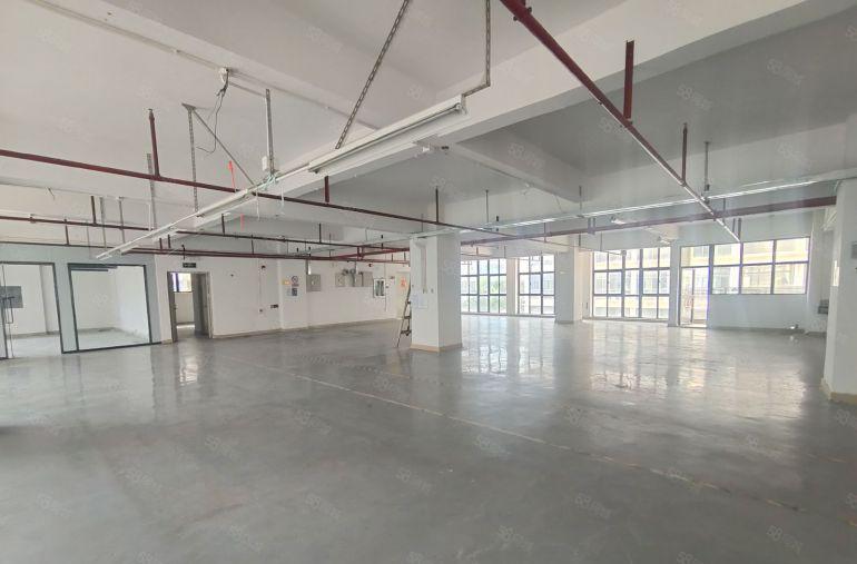 20元起租龙岗龙东新出1千平精装修厂房仓库出租可分租无转让费