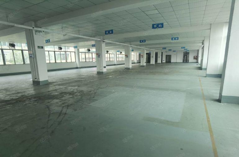 平湖富民工业区独门独院带宿舍5500平厂房仓库低价出租