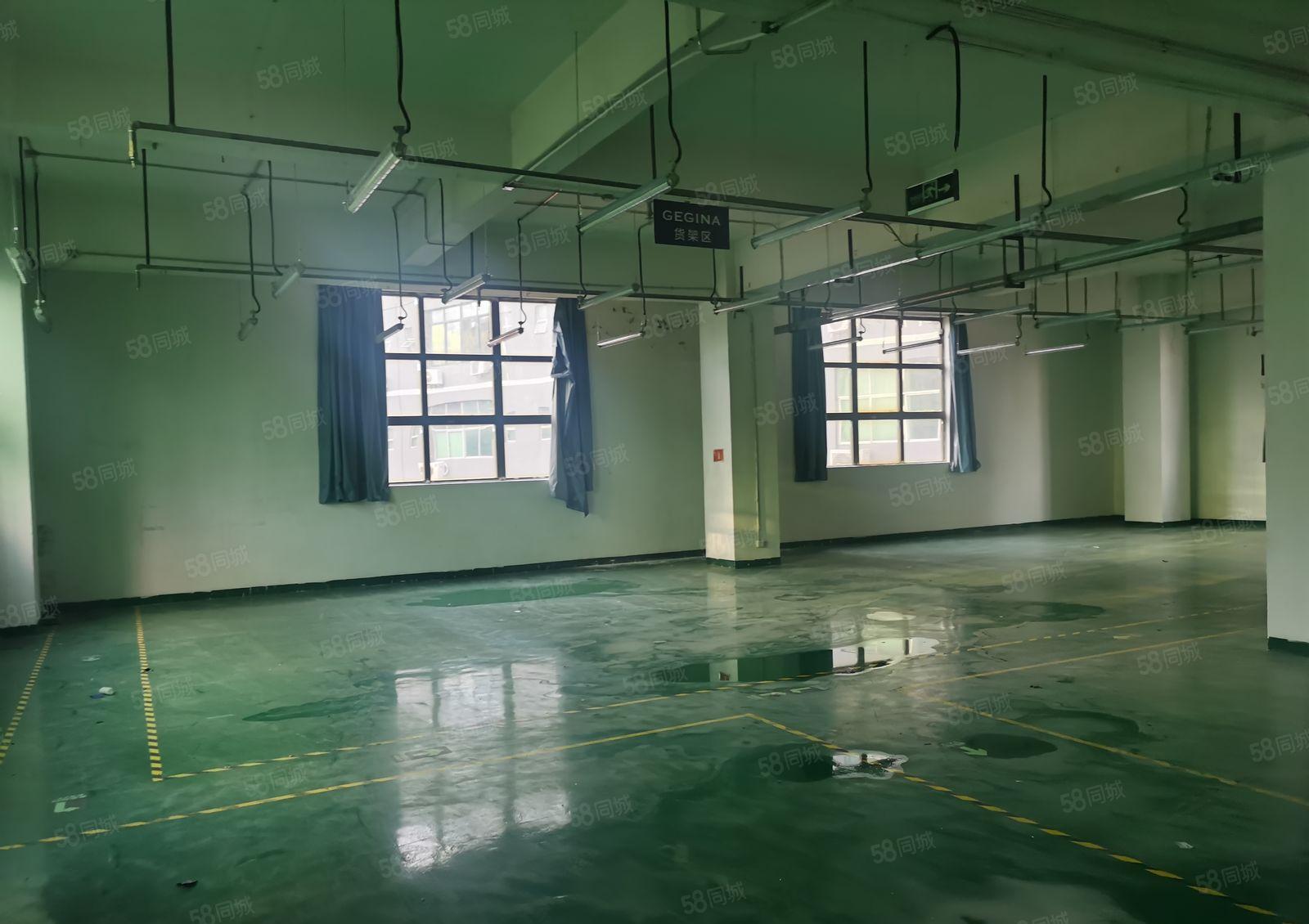 上雪科技园带装修188平500平800平电商仓库厂房低价出租