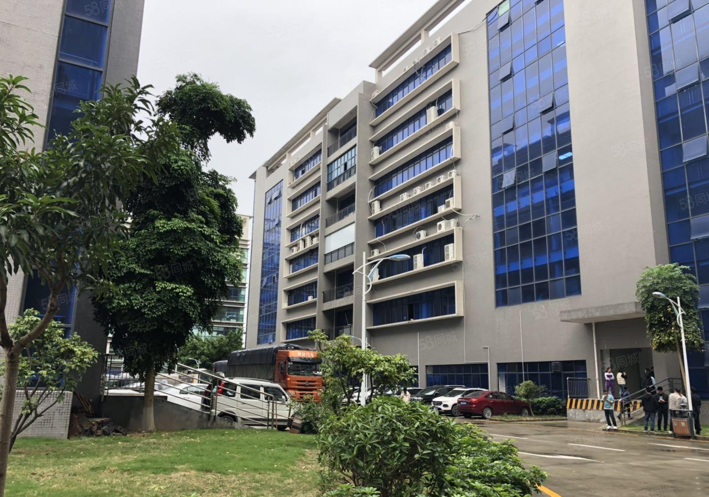 南联原房东大型科技园新出楼上800平消防喷淋办公仓库厂房出租