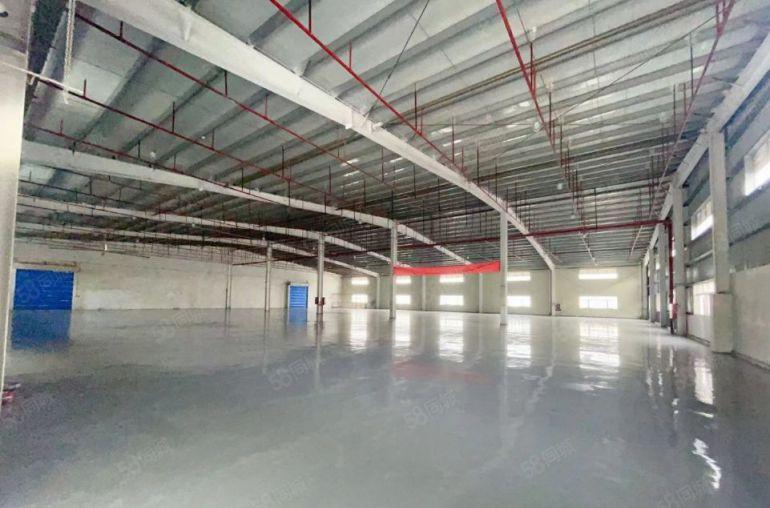 横岗原房东高标物流仓库3000 到5000平实际面积出租可分