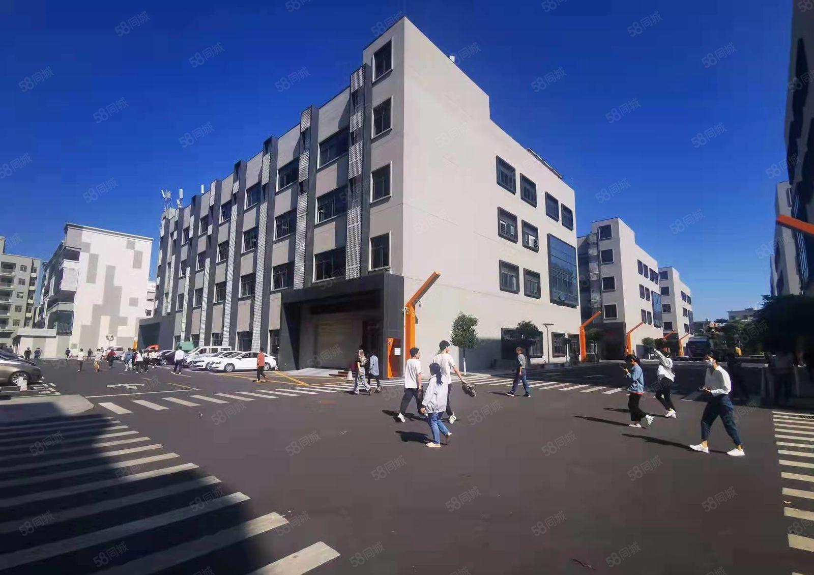 200平起租中心城地铁口旁低价精装修厂房办公仓库出租车位足