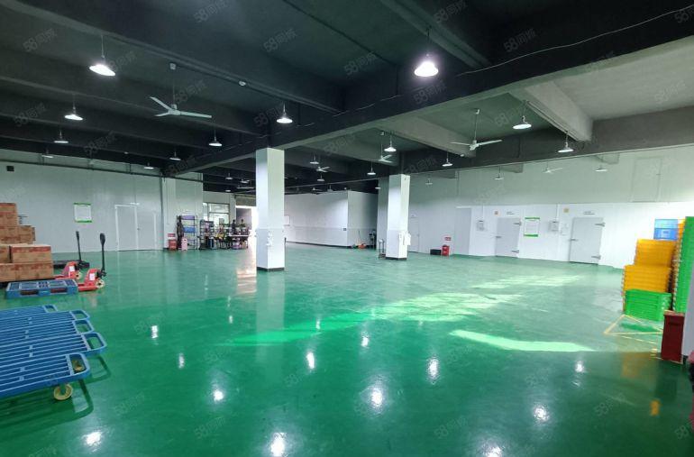 100平起租 坂田电商园1000平一楼厂房低价出租现成办公室