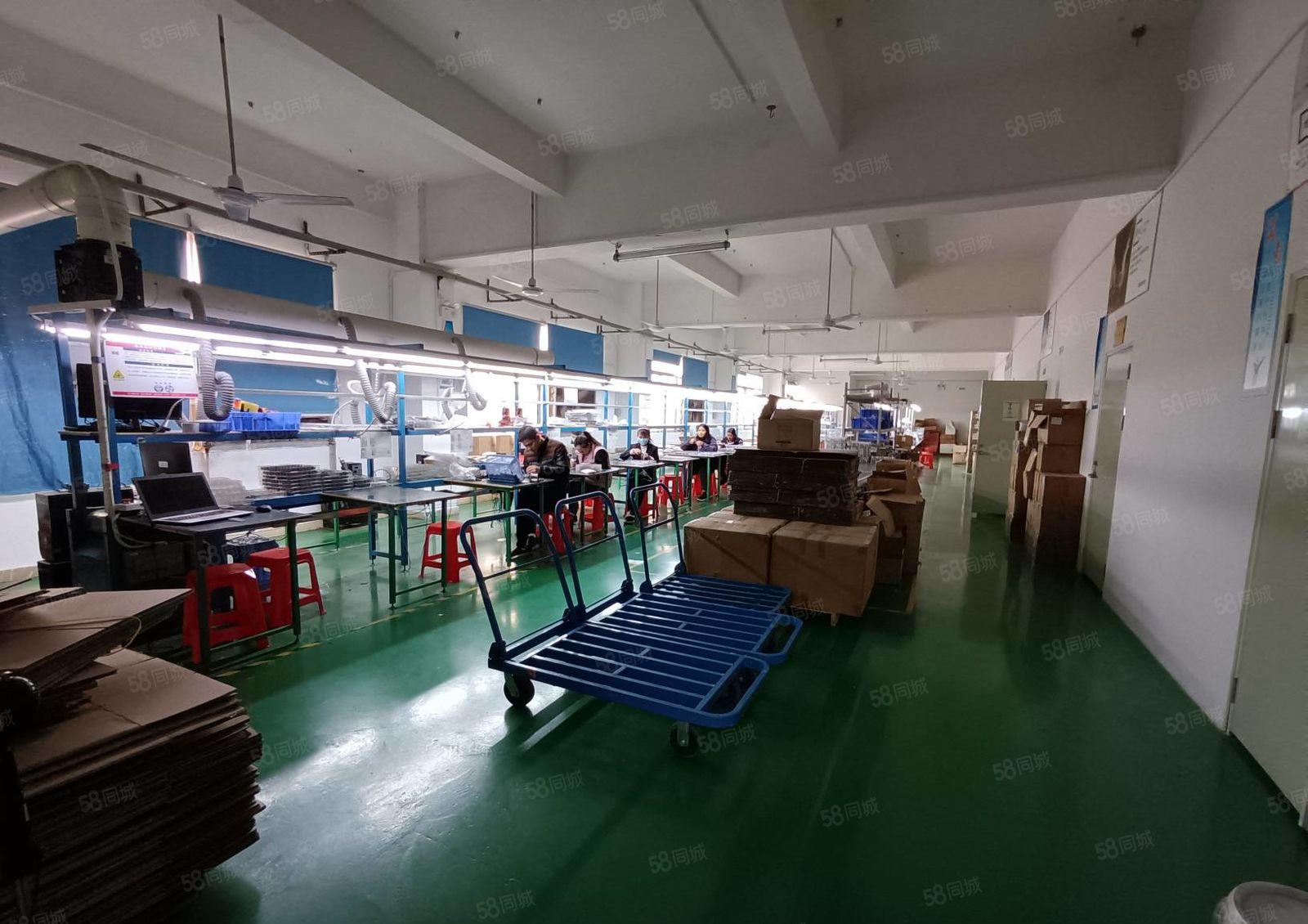 龙岗地铁站附近1000平花园式厂房出租，现成精装修办公地坪漆