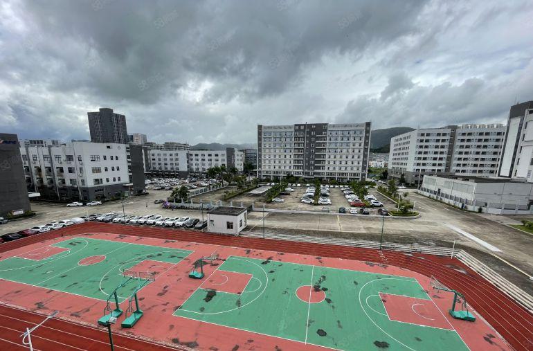 空地超大龙岗宝龙原房东高新园区独院出租，价格便宜，免租半年