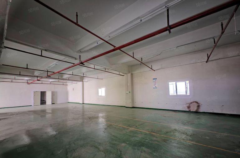 龙岗同乐独门独院！已全部翻新！免租期长！价格便宜停车免费！